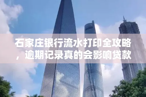 石家庄银行流水打印全攻略,逾期记录真的会影响贷款吗?