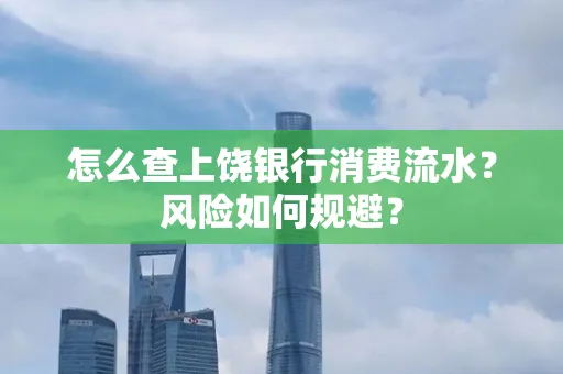 怎么查上饶银行消费流水?风险如何规避?
