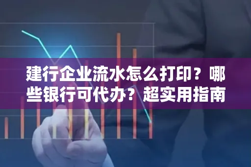 建行企业流水怎么打印?哪些银行可代办?超实用指南来了!