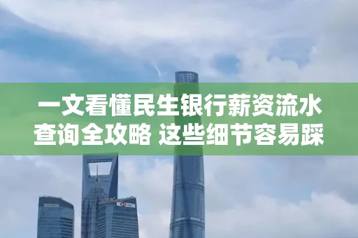 一文看懂民生银行薪资流水查询全攻略 这些细节容易踩雷