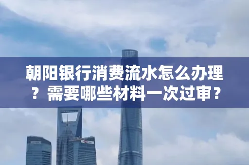 朝阳银行消费流水怎么办理?需要哪些材料一次过审?
