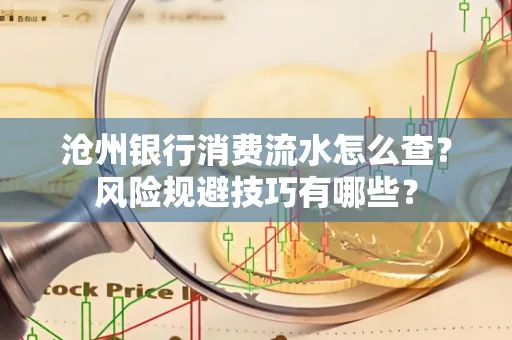 沧州银行消费流水怎么查?风险规避技巧有哪些?