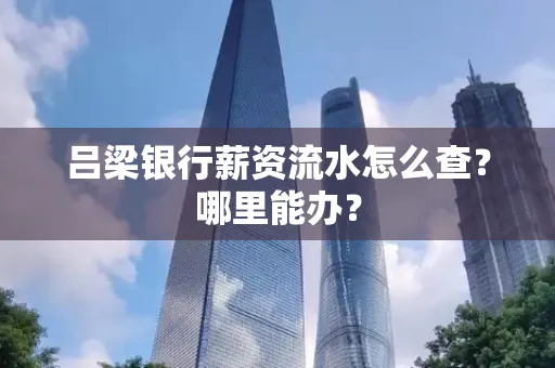 吕梁银行薪资流水怎么查?哪里能办?