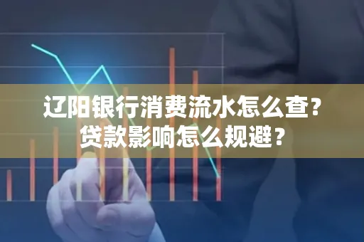 辽阳银行消费流水怎么查?贷款影响怎么规避?