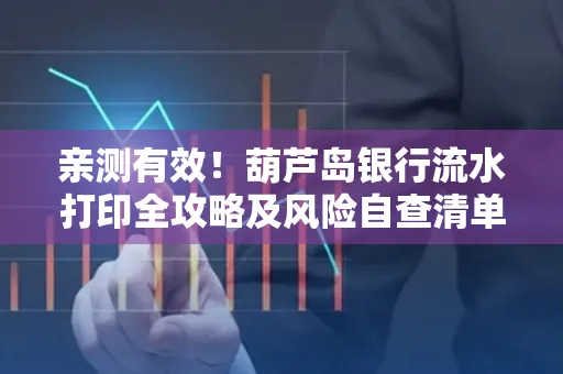 亲测有效!葫芦岛银行流水打印全攻略及风险自查清单