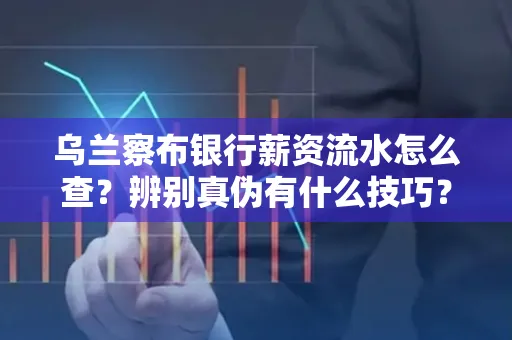 乌兰察布银行薪资流水怎么查?辨别真伪有什么技巧?