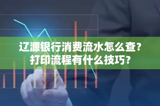 辽源银行消费流水怎么查?打印流程有什么技巧?