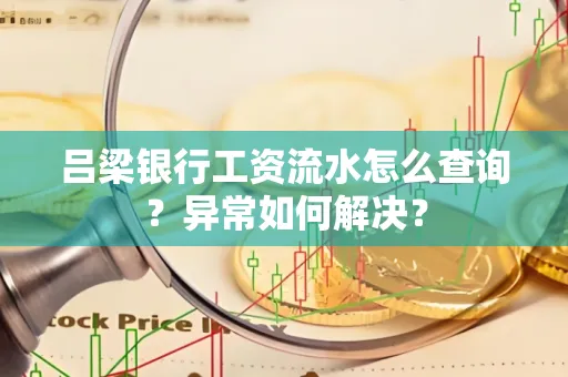 吕梁银行工资流水怎么查询?异常如何解决?