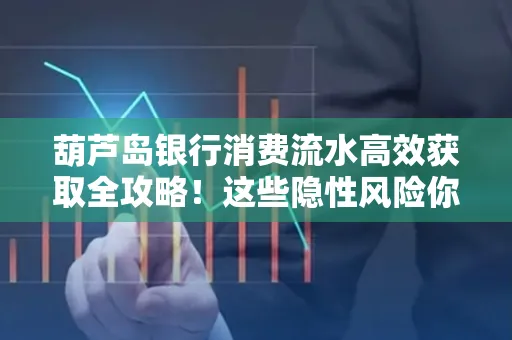 葫芦岛银行消费流水高效获取全攻略!这些隐性风险你必须知道