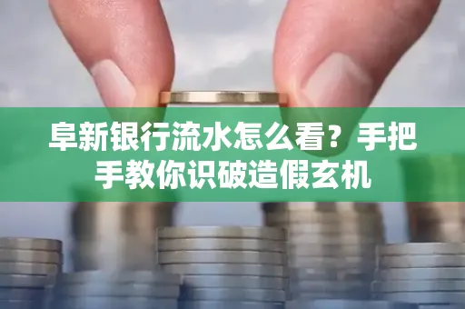 阜新银行流水怎么看?手把手教你识破造假玄机