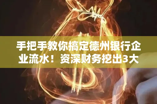 手把手教你搞定德州银行企业流水!资深财务挖出3大隐藏风险点