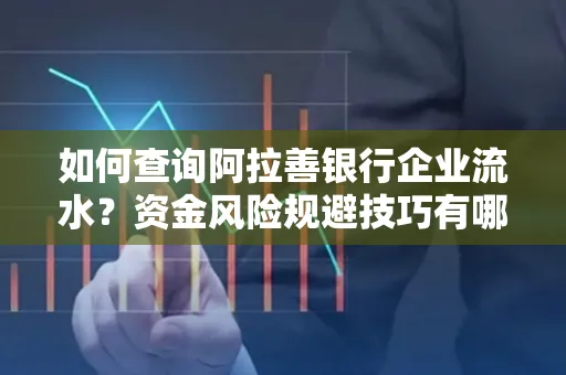 如何查询阿拉善银行企业流水?资金风险规避技巧有哪些?