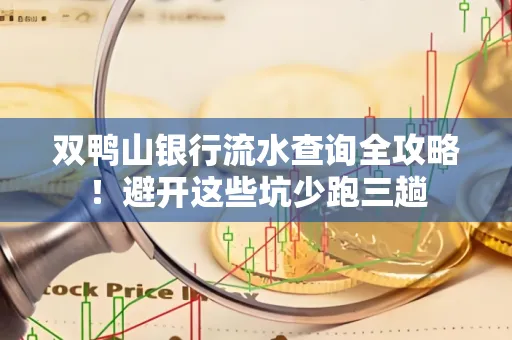 双鸭山银行流水查询全攻略!避开这些坑少跑三趟