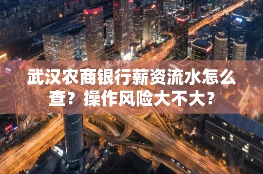 武汉农商银行薪资流水怎么查?操作风险大不大?