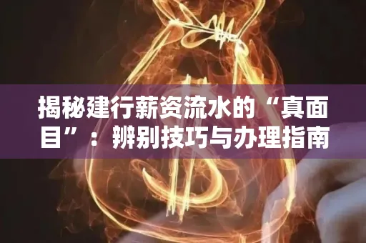 揭秘建行薪资流水的“真面目”:辨别技巧与办理指南大公开