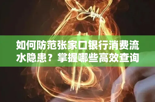 如何防范张家口银行消费流水隐患?掌握哪些高效查询技巧?
