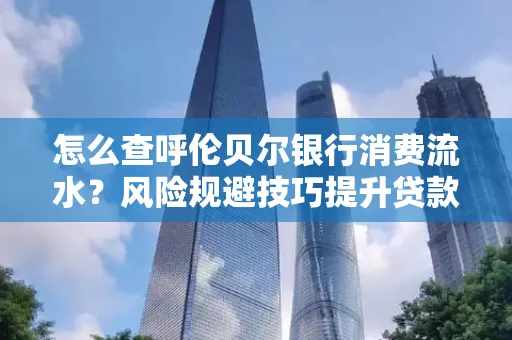 怎么查呼伦贝尔银行消费流水?风险规避技巧提升贷款率?